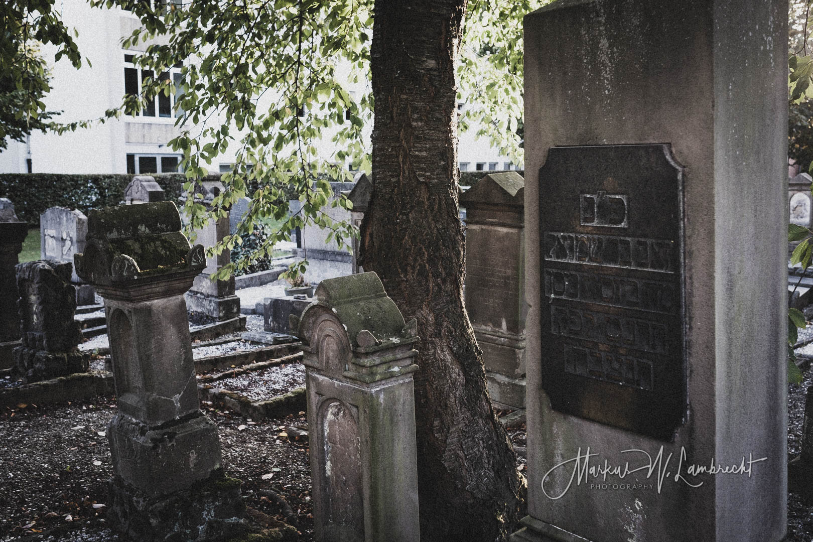 Nieheim, Jüdischer Friedhof